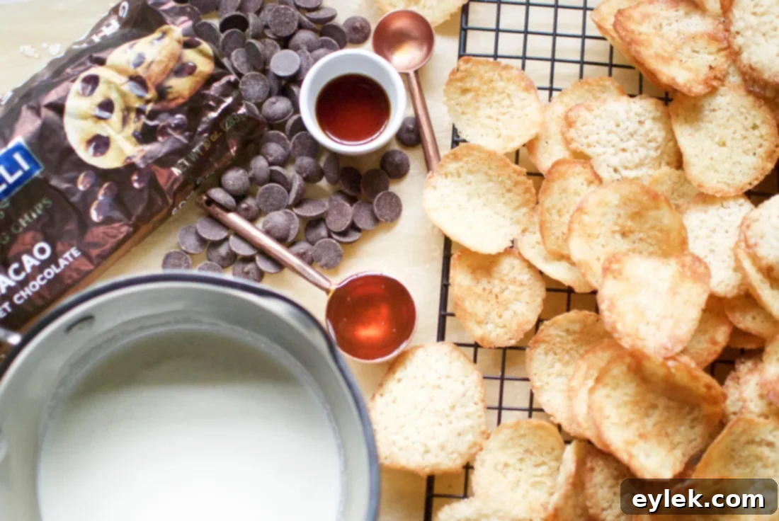 lacy oatmeal coconut cookie chips & dark chocolate dip