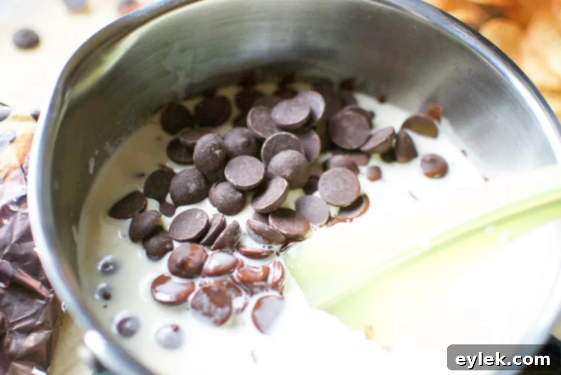 lacy oatmeal coconut cookie chips & dark chocolate dip