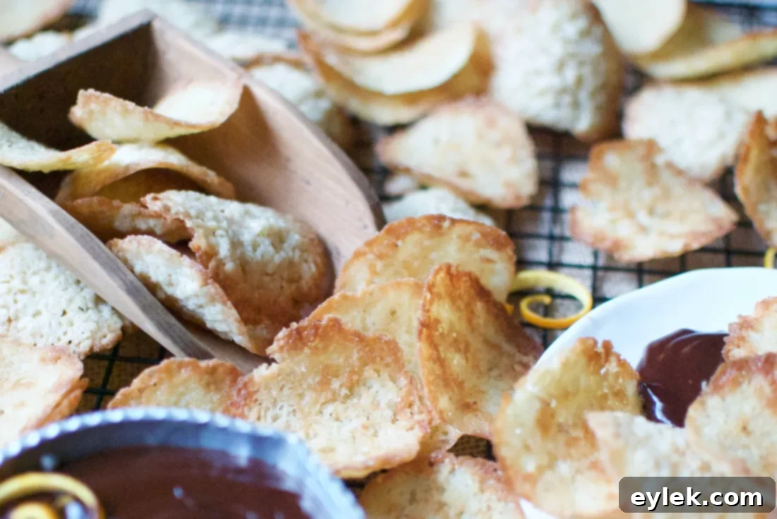 lacy oatmeal coconut cookie chips & dark chocolate dip