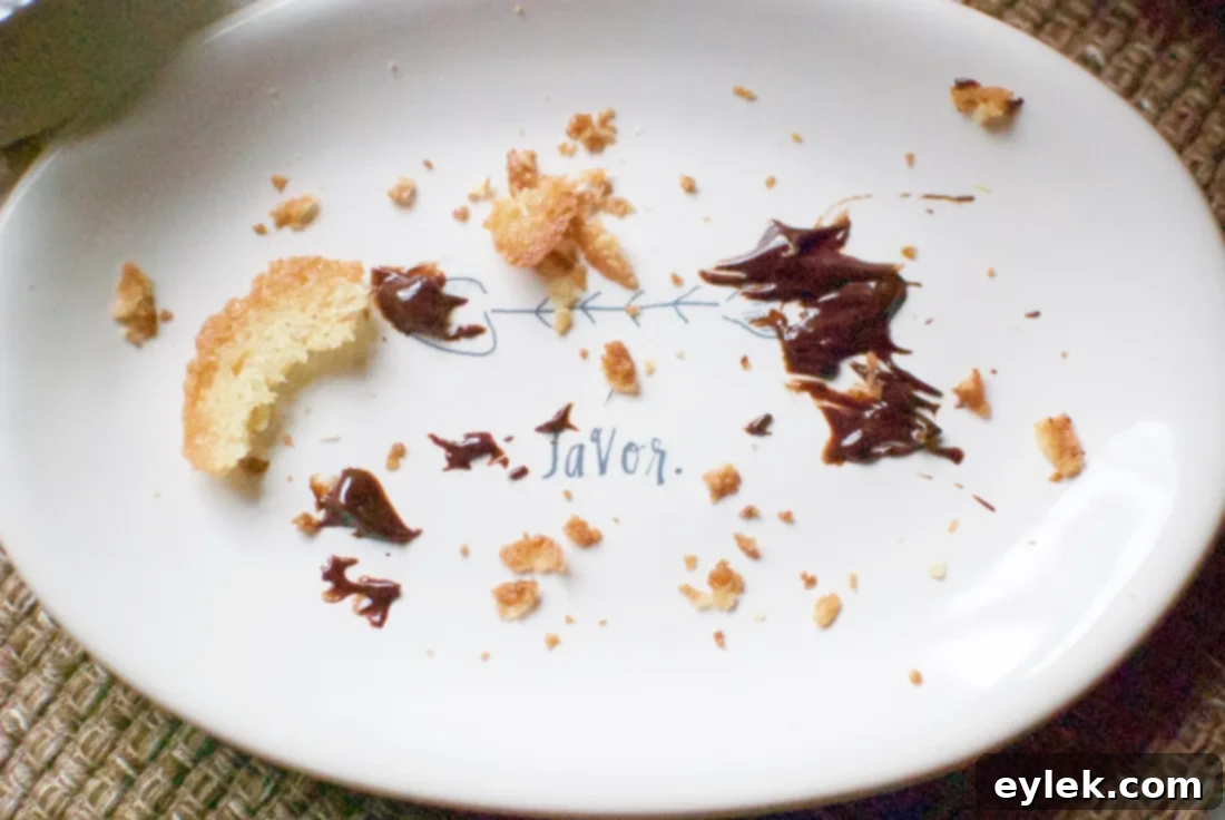 lacy oatmeal coconut cookie chips & dark chocolate dip