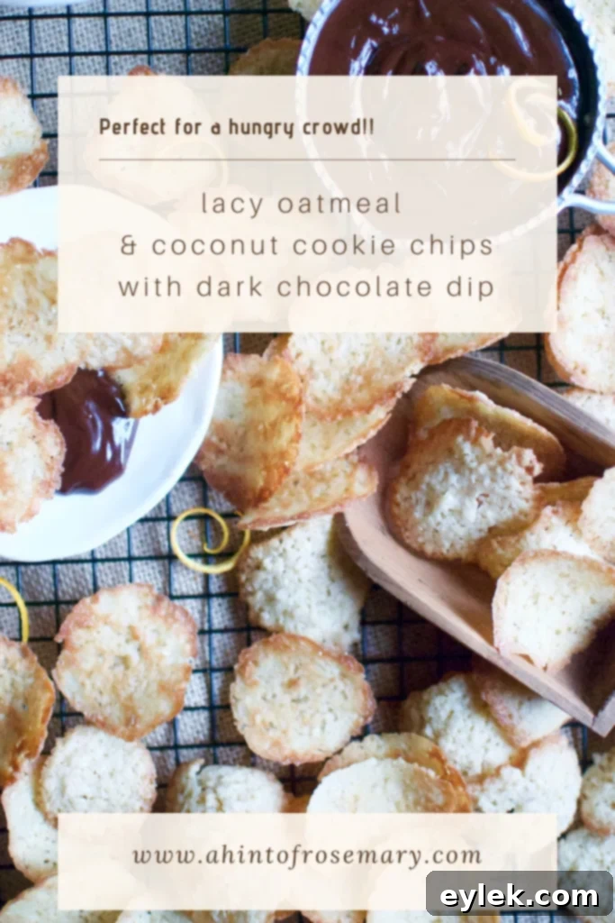 lacy oatmeal & coconut cookie chips with dark chocolate dip