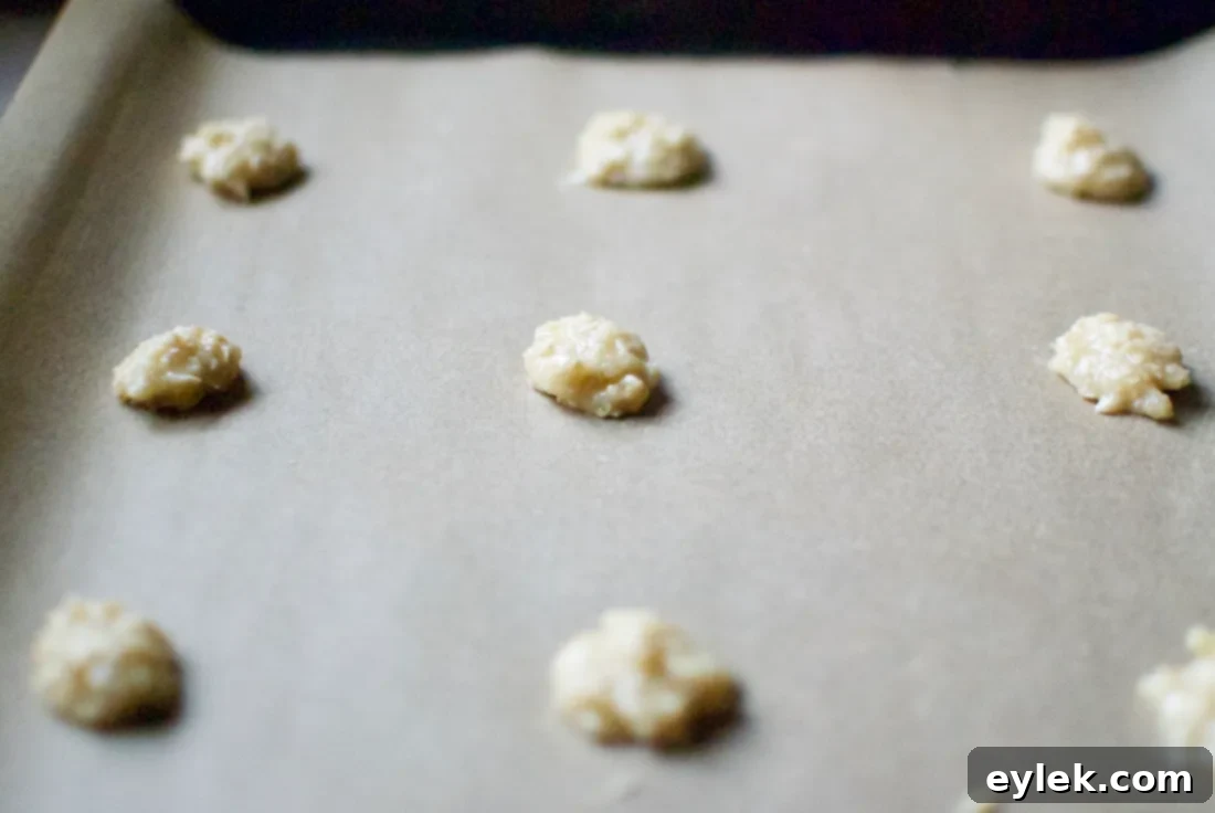 lacy oatmeal coconut cookie chips & dark chocolate dip