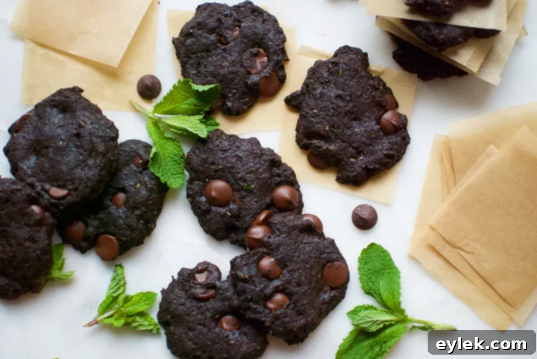 Mint double chocolate chip cookies served with vanilla ice cream