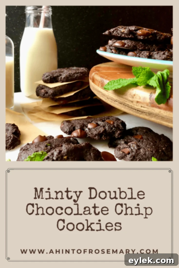 Stacked delicious gluten-free, sugar-free mint double chocolate chip cookies