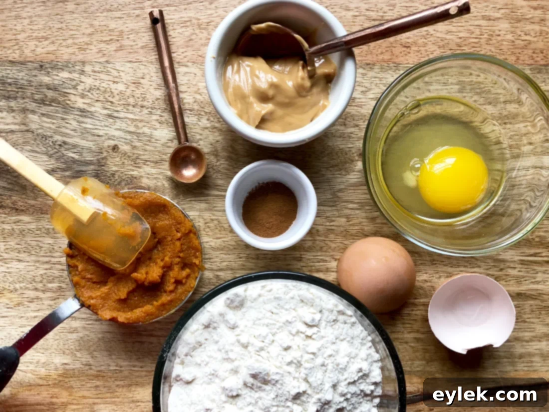 homemade pumpkin & peanut butter dog biscuits