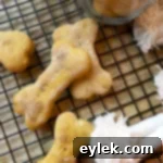 Homemade Pumpkin Peanut Butter Doggy Delights 14 homemade pumpkin & peanut butter dog biscuits