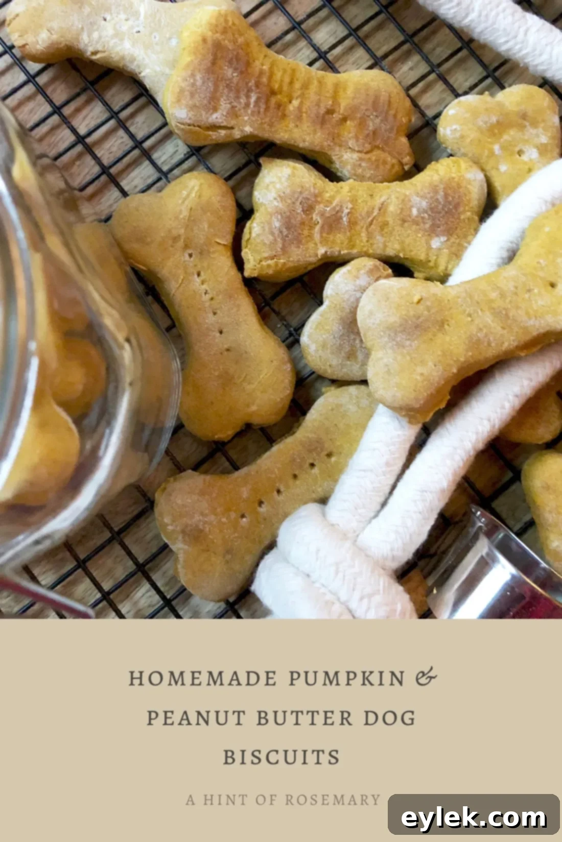 homemade pumpkin & peanut butter dog biscuits