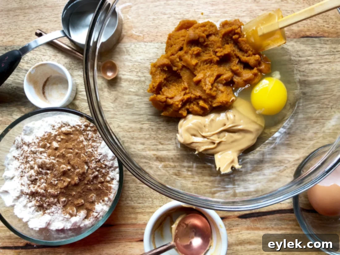 homemade pumpkin & peanut butter dog biscuits