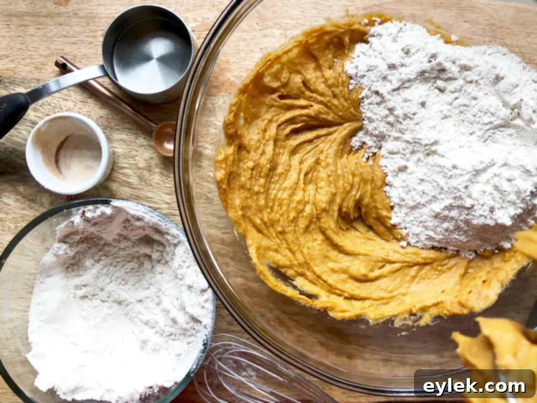homemade pumpkin & peanut butter dog biscuits