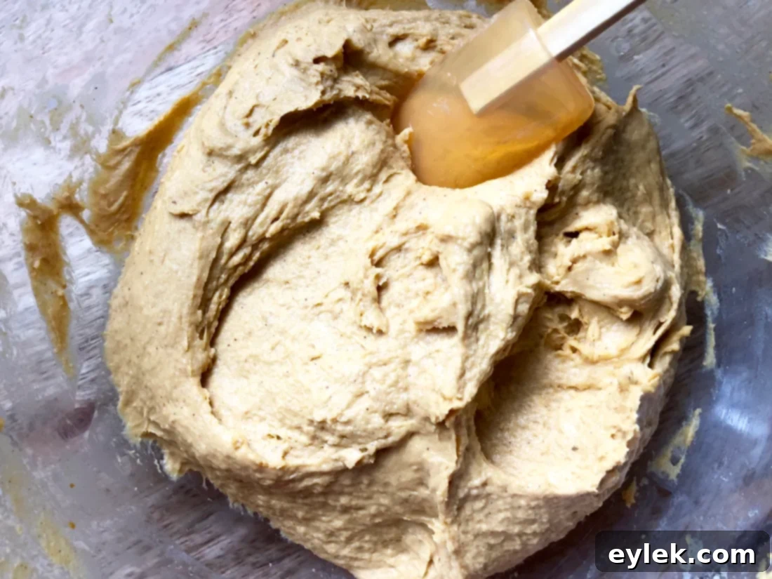 homemade pumpkin & peanut butter dog biscuits