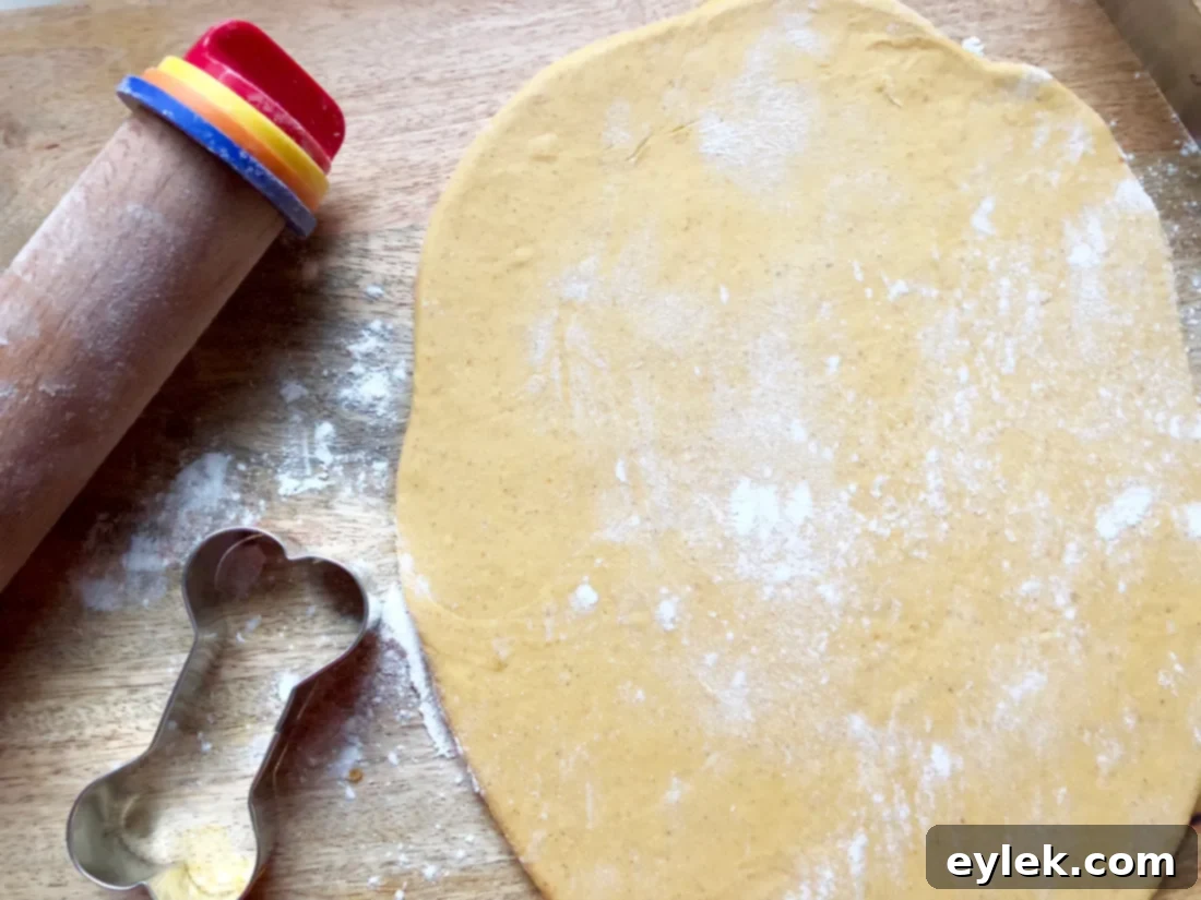homemade pumpkin & peanut butter dog biscuits