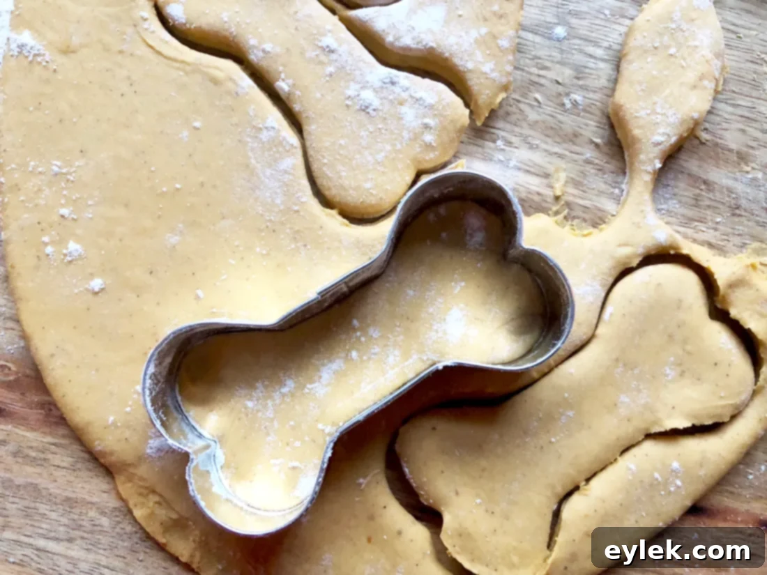 homemade pumpkin & peanut butter dog biscuits