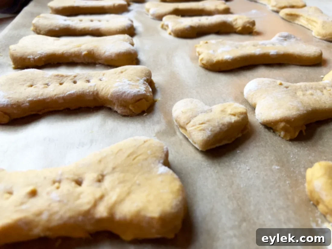 homemade pumpkin & peanut butter dog biscuits
