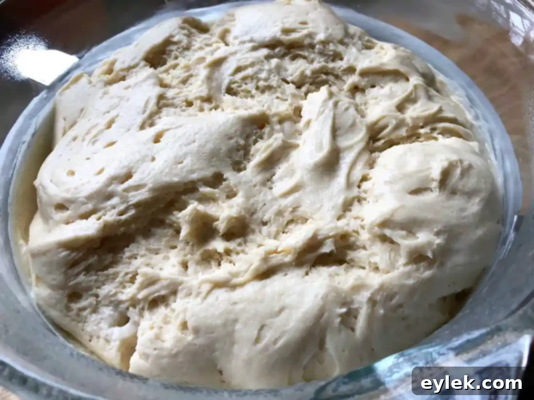 Gluten-free brioche dough after initial rise