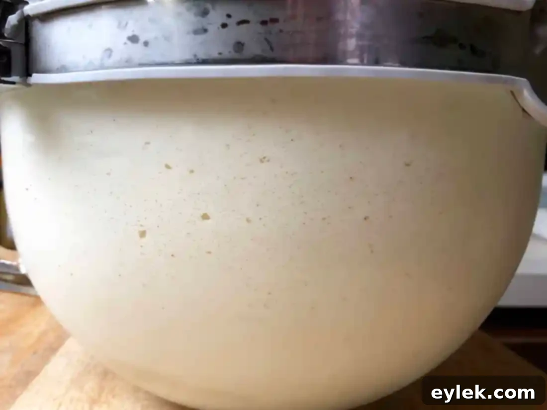 Chilled gluten-free brioche dough