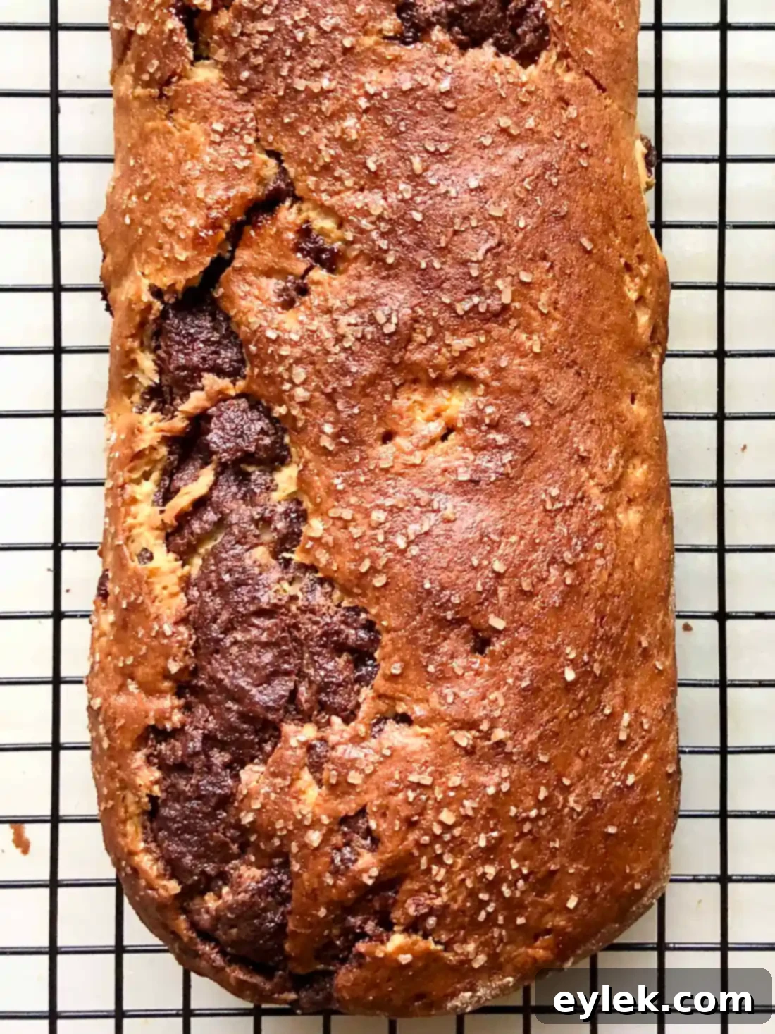 Gluten-Free Nutella Swirl Loaf, a close-up of the delicious texture and swirl
