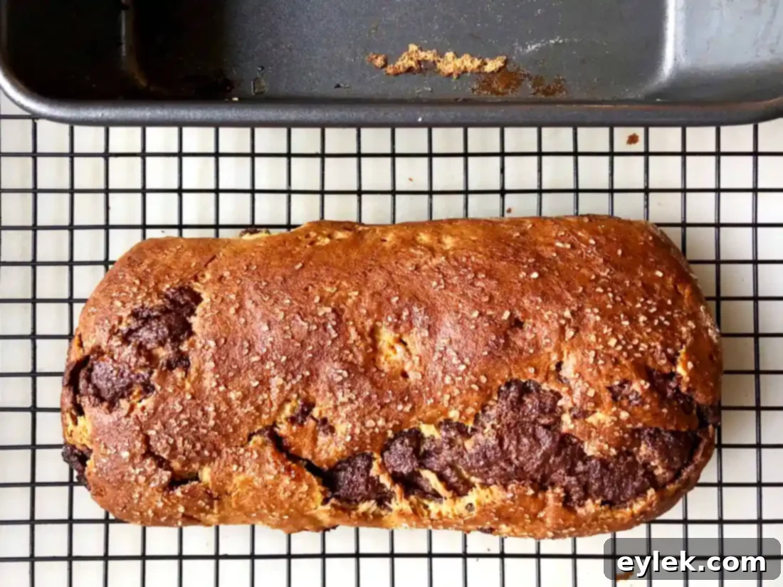 Freshly baked Gluten-Free Nutella Swirl Loaf cooling on a wire rack
