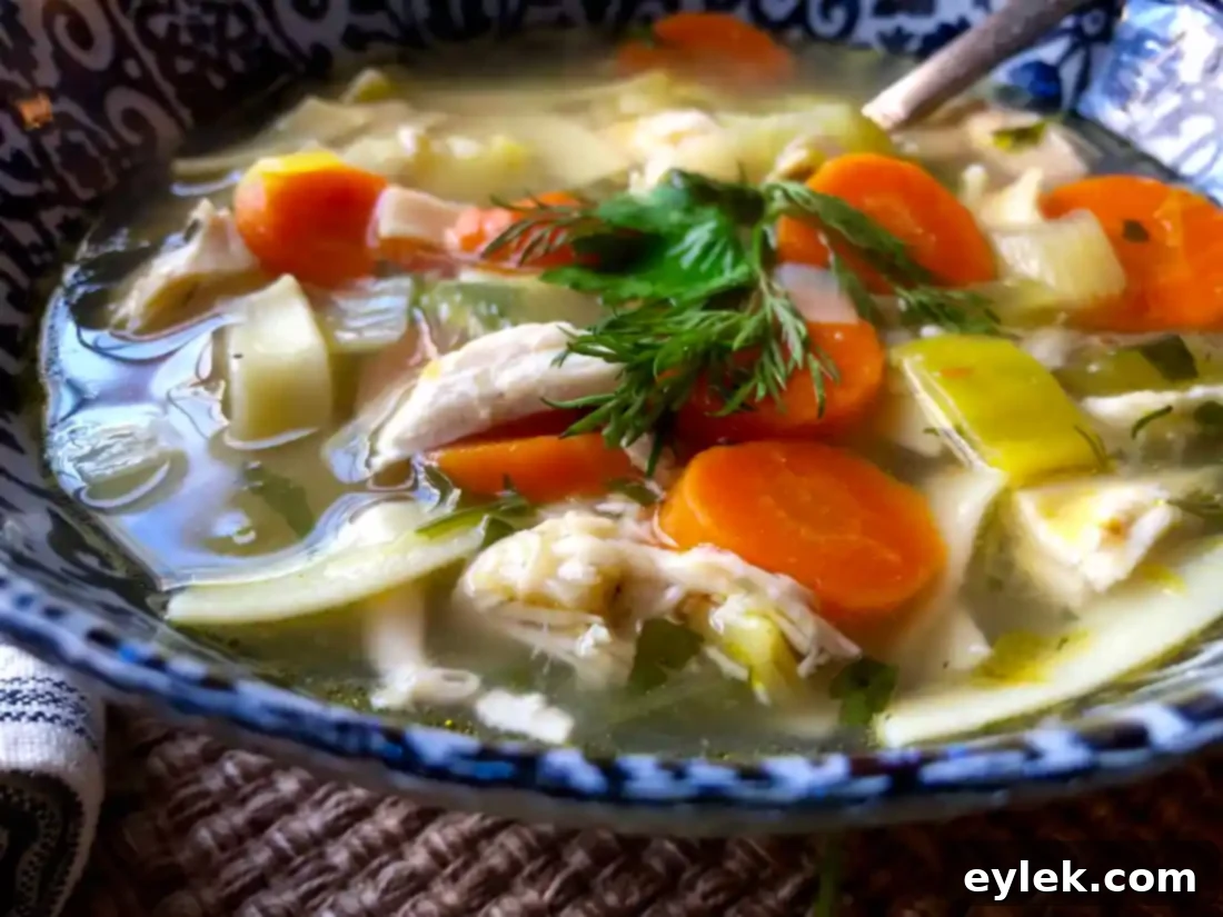 A bowl of delicious chicken noodle soup, garnished and ready to eat.