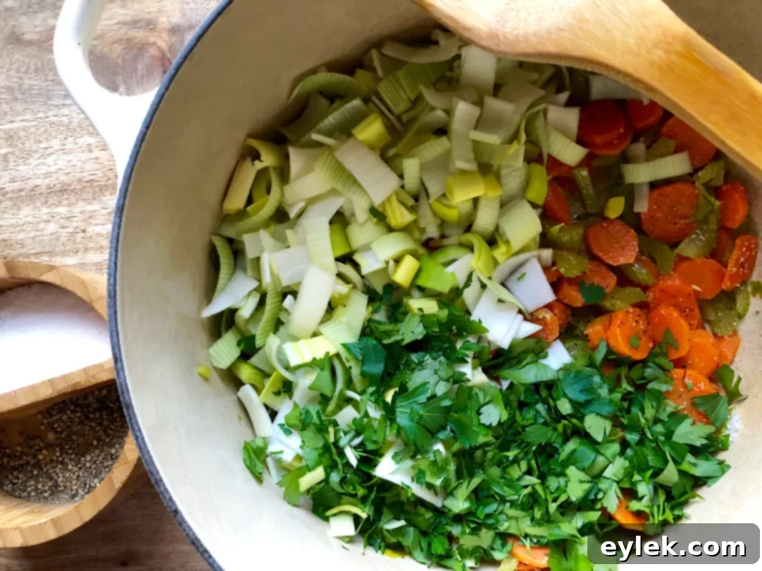 Chicken broth and fresh dill added to the vegetable base, coming to a boil.