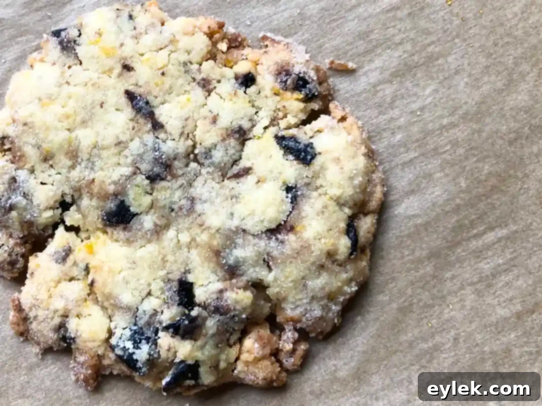 Baked Portuguese Black Olive Cookies cooling on a rack, showing their unique texture.