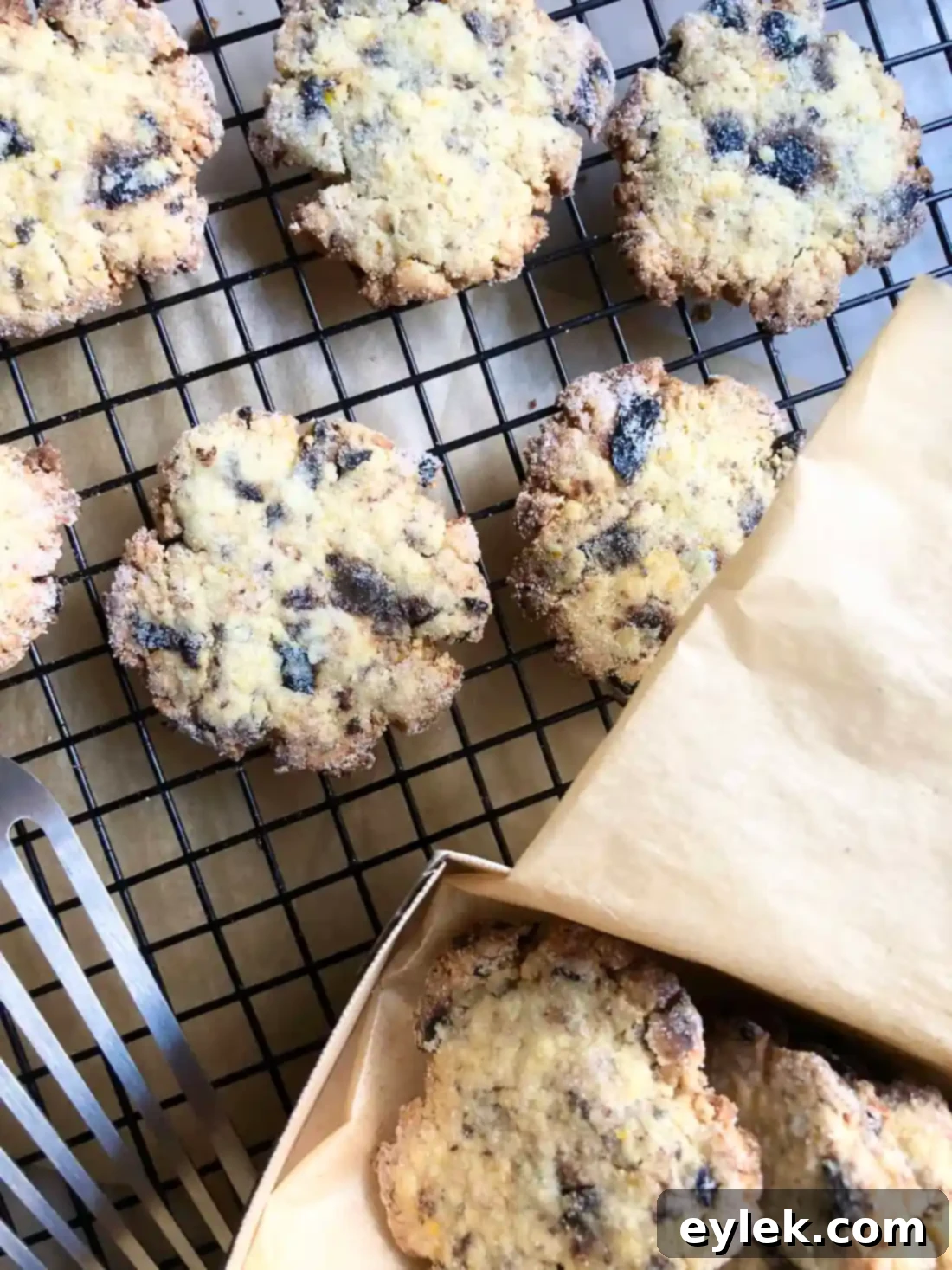 Two Portuguese Black Olive Cookies displayed on a kitchen towel with olives and oranges in the background.