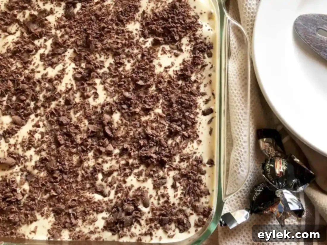 the absolute best tiramisu