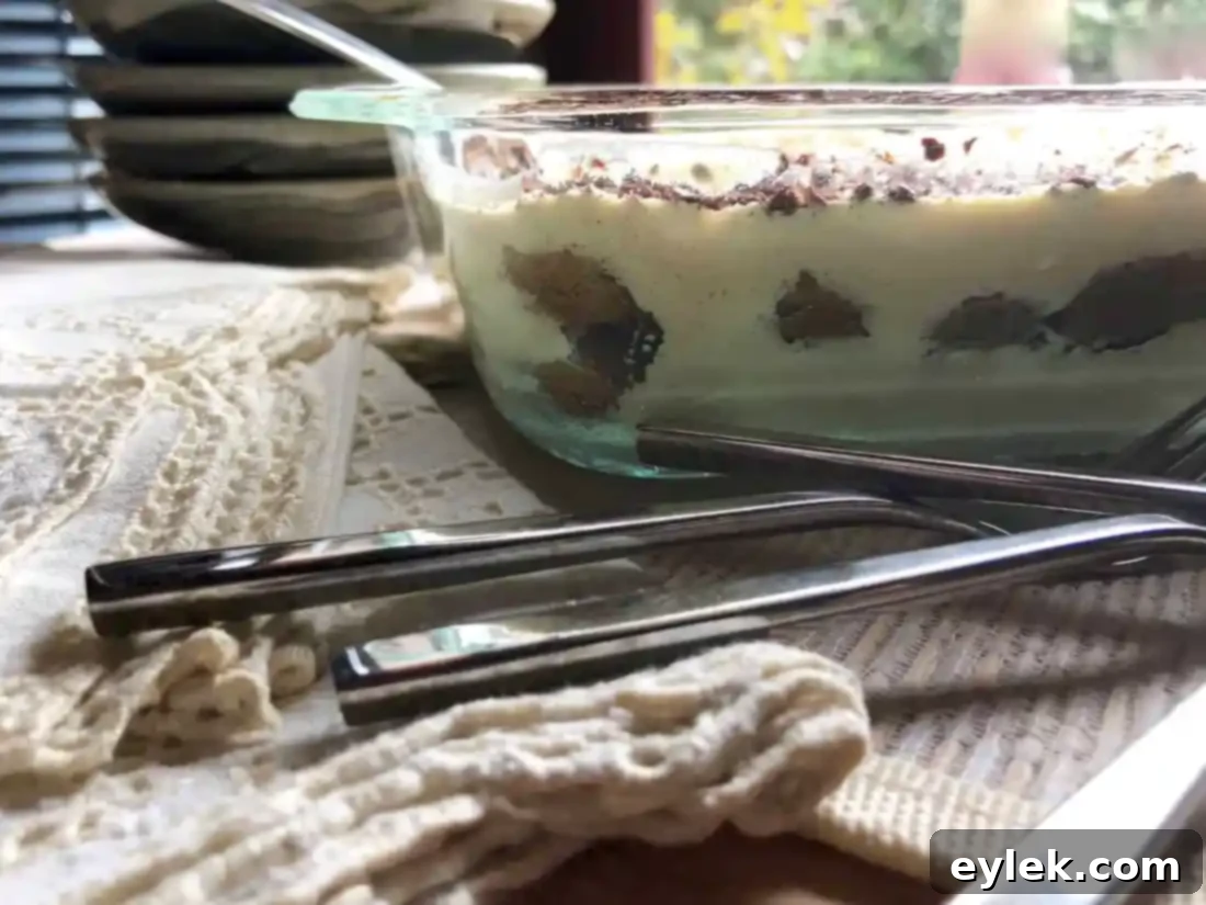 the absolute best tiramisu