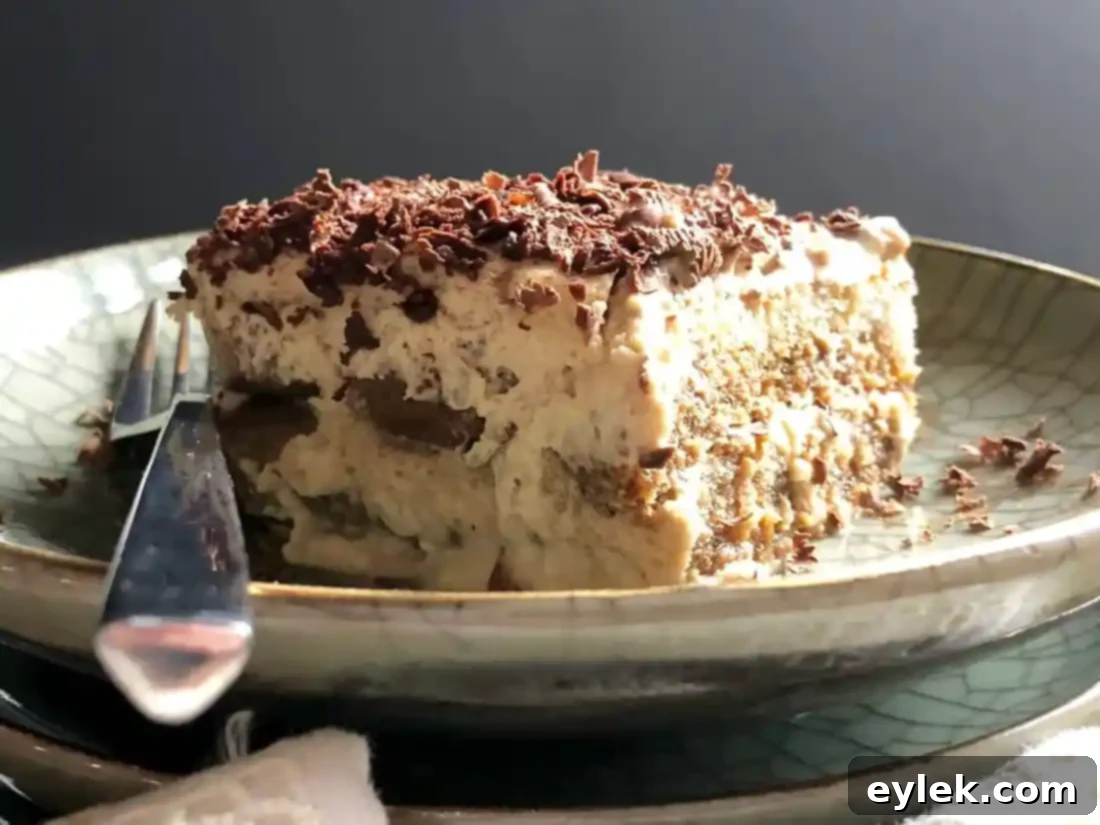 the absolute best tiramisu