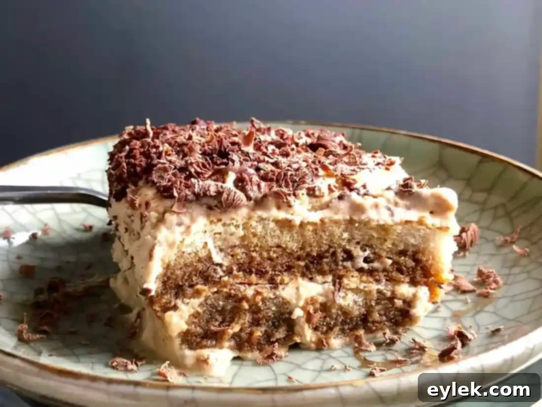 the absolute best tiramisu
