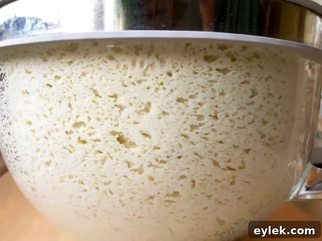 Gluten-free pizza dough stored in a lidded container in the refrigerator, ready for future use.