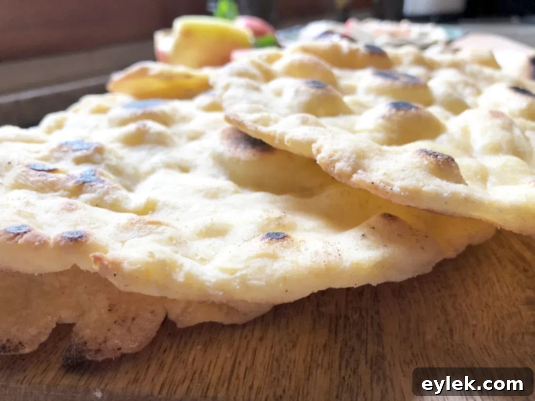 close-up of cooked gluten-free naan-style bread
