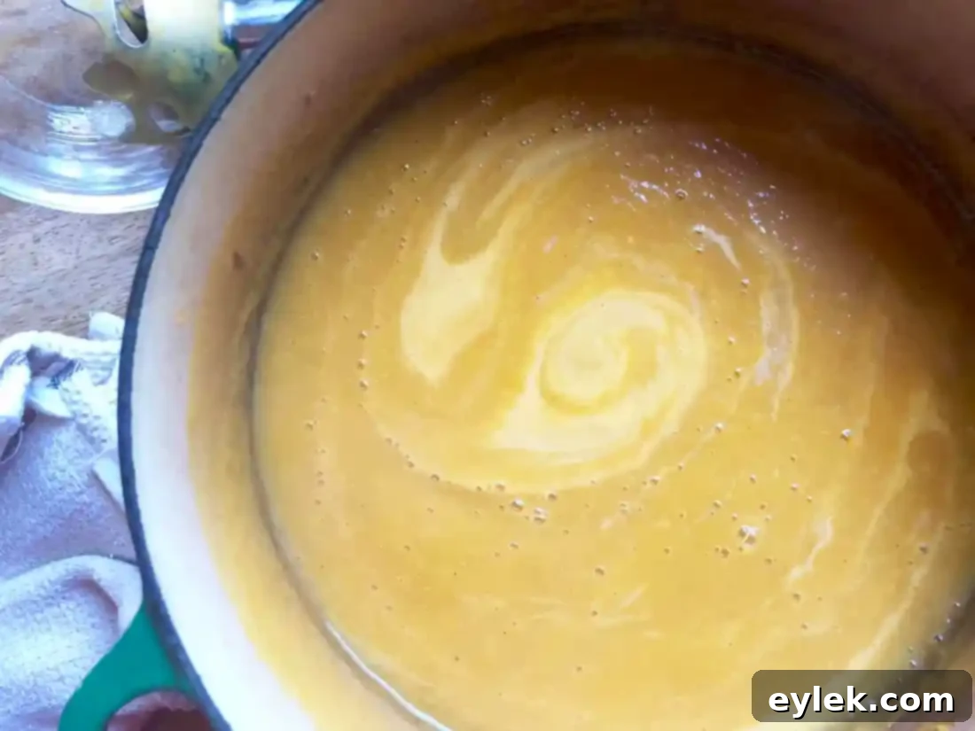 finished squash soup in pot