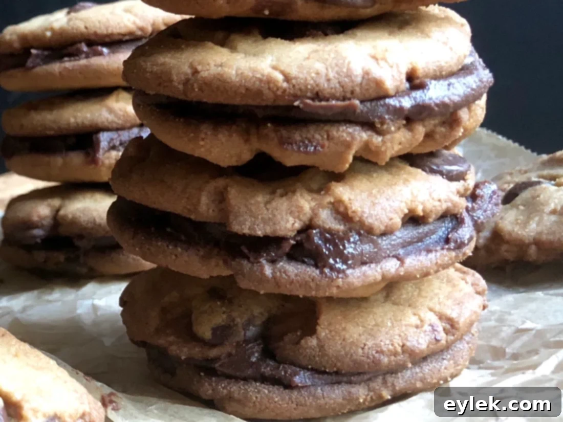 A half of a peanut butter chocolate chip cookie with a dollop of creamy filling, ready to be sandwiched.