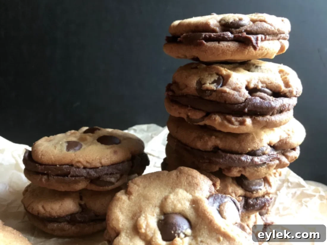A completed peanut butter chocolate chip sandwich cookie, showing the rich filling peeking out.