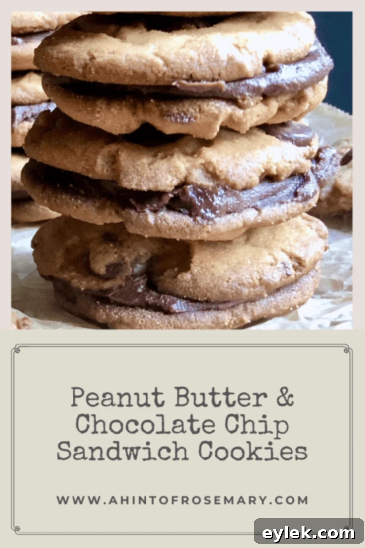 A beautifully arranged plate of finished peanut butter chocolate chip sandwich cookies.