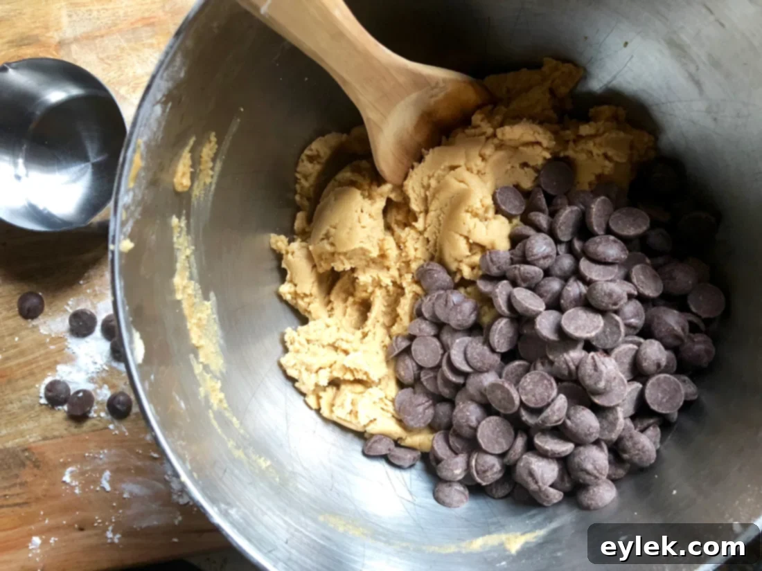 Close-up of a peanut butter chocolate chip cookie, showcasing its soft texture and melted chocolate chips.