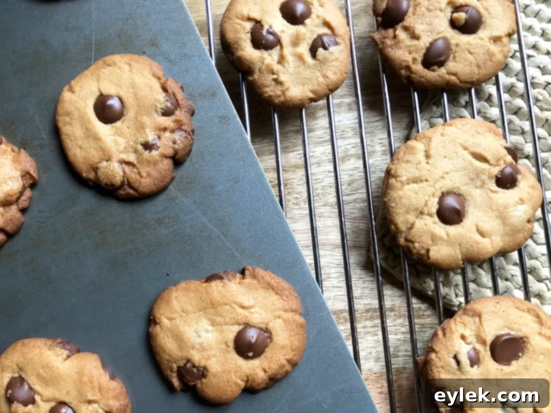 Cookie dough being mixed in a bowl, showing the creamy texture and chocolate chips before baking.