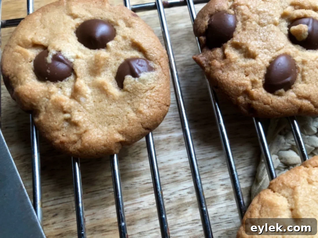 A bowl of rich chocolate chip cookie dough with peanut butter, ready to be scooped.