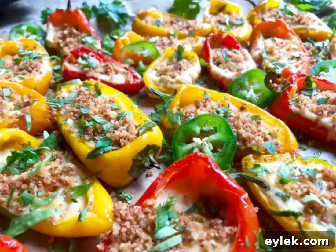 Beautifully garnished Queso-Filled Mini Peppers