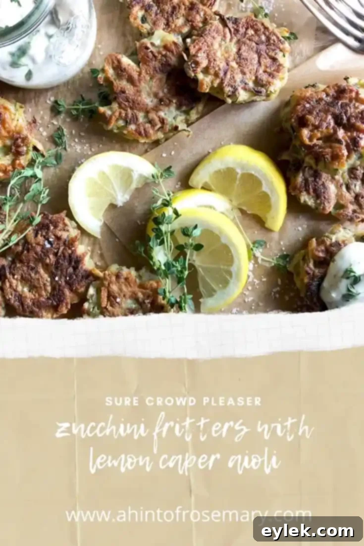 Zucchini Fritters With Lemon Caper Aioli vertical shot