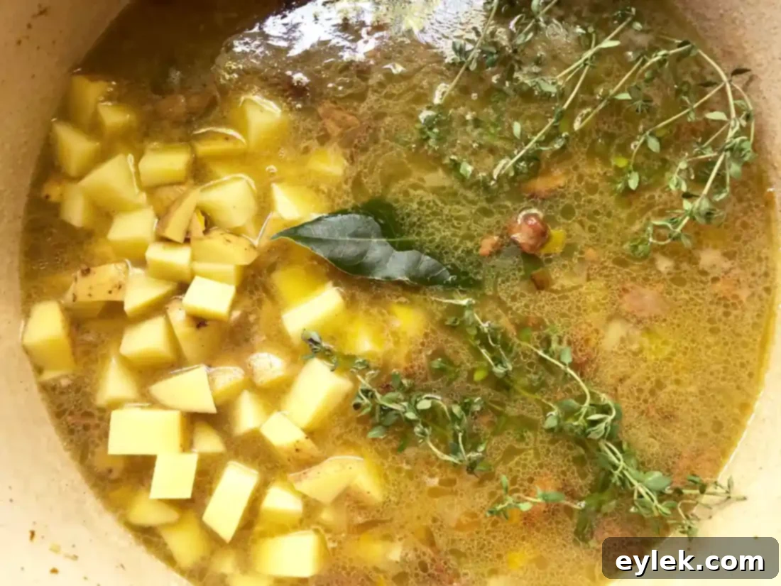 Elevated Manhattan Clam Chowder 12 clam chowder simmering with potatoes, thyme, and bay leaf