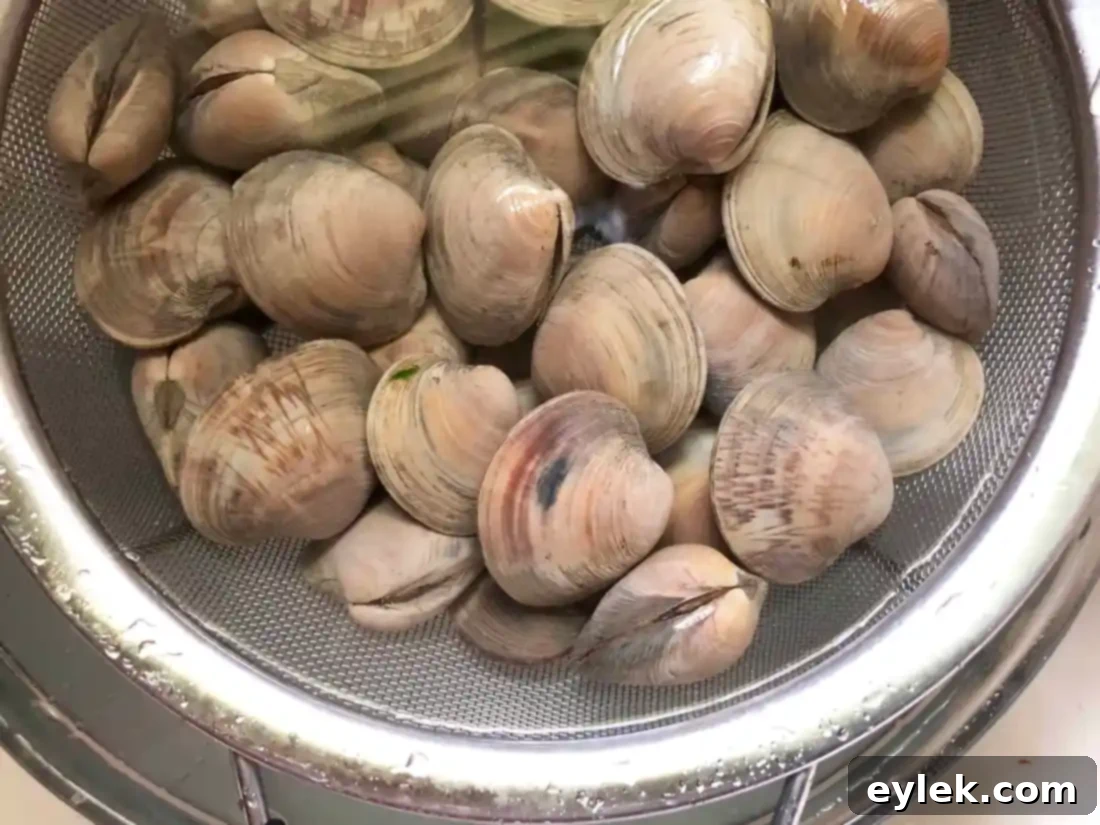 Elevated Manhattan Clam Chowder 3 fresh cherrystone clams for chowder