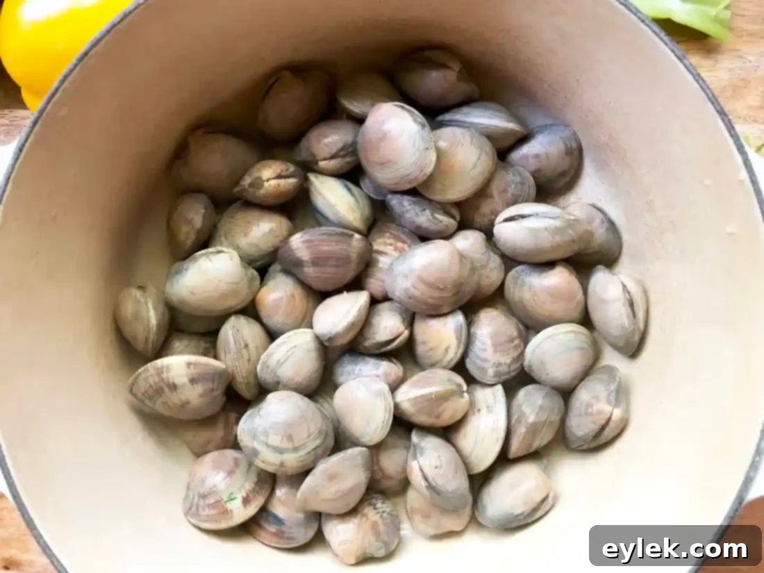 Elevated Manhattan Clam Chowder 4 cleaning clams for clam chowder