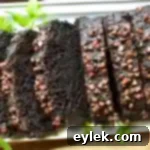 Adaptable Chocolate Zucchini Loaf 14 Gluten-Free (Or Not) Chocolate Zucchini Loaf