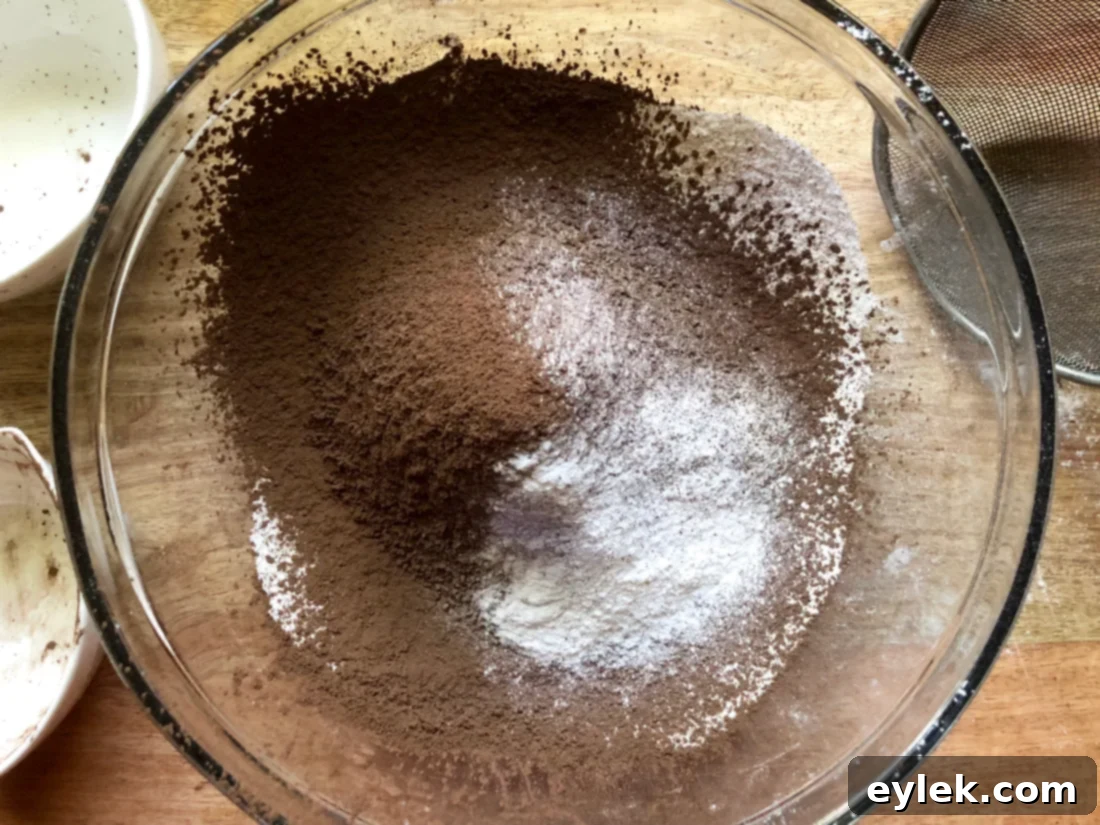 chocolate zucchini loaf dry ingredients
