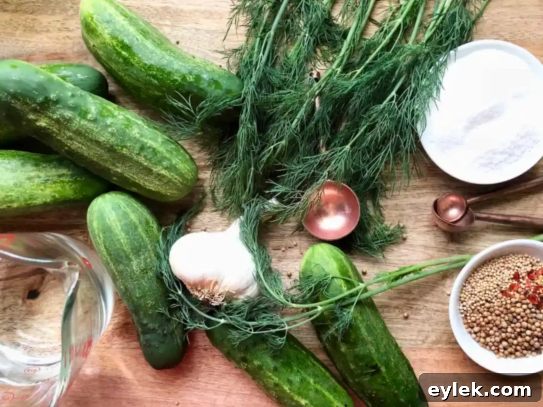 homemade refrigerator dill pickles in jars