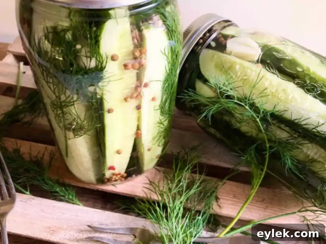 jars of homemade dill pickles in brine