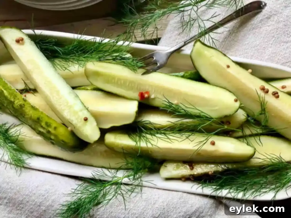 jars of homemade dill pickles with fresh dill