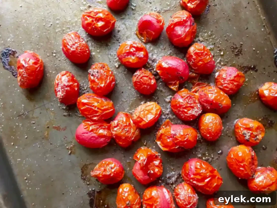 close up of roasted tomatoes