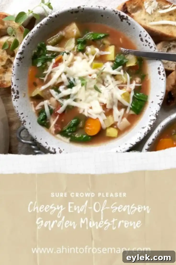 Cheesy End-Of-Season Garden Minestrone in a vibrant bowl with garnish.